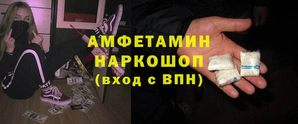 прущие грибы Заволжье