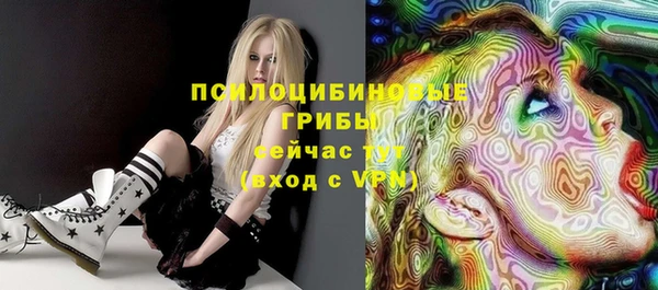 прущие грибы Заволжье